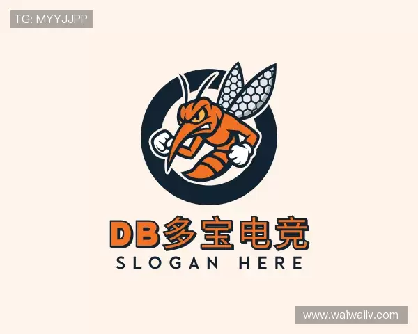 介绍DB多宝电竞