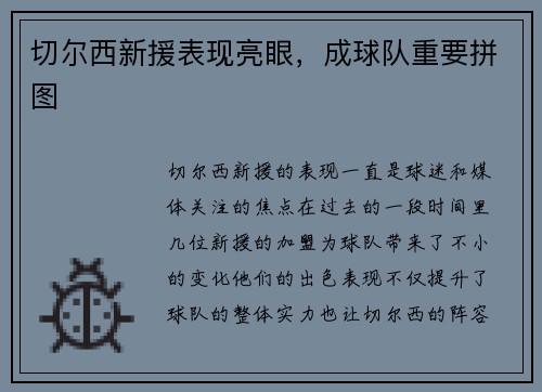 切尔西新援表现亮眼，成球队重要拼图