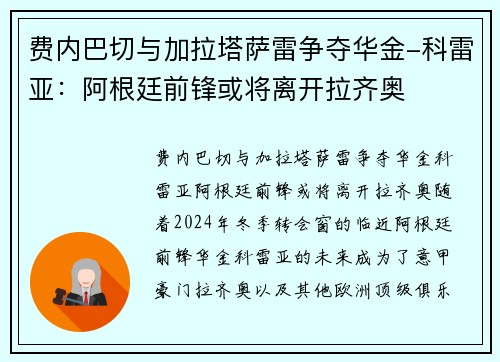 费内巴切与加拉塔萨雷争夺华金-科雷亚：阿根廷前锋或将离开拉齐奥